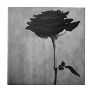 Azulejo Rosa negro gótico