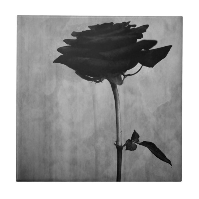 Azulejo Rosa negro gótico (Frente)