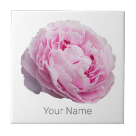 Azulejo Rosa Peony Blossom Para Flor Y Amante De Jardín