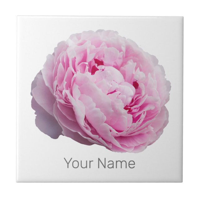 Azulejo Rosa Peony Blossom Para Flor Y Amante De Jardín (Frente)