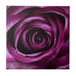 Azulejo Rosa Púrpura Oscura