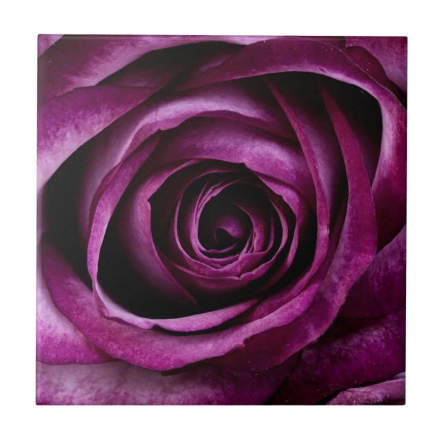Azulejo Rosa Púrpura Oscura (Frente)