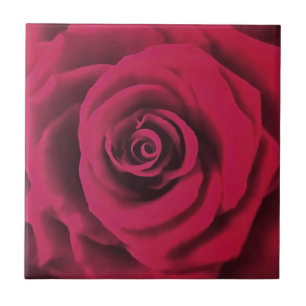 Azulejo Rosa Roja grande