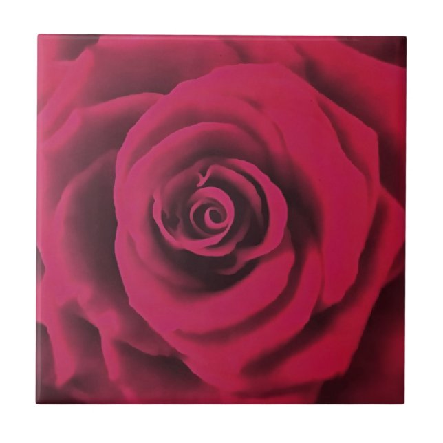 Azulejo Rosa Roja grande (Frente)