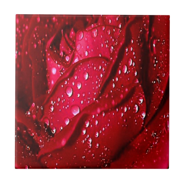 Azulejo Rosa Roja Solitaria en la Lluvia (Frente)