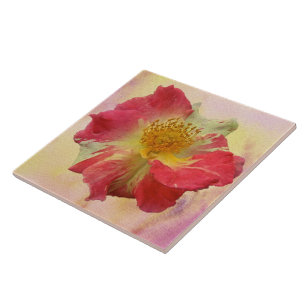 Azulejo Rosa Roja y Blanca