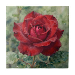 Azulejo Rosa Romántica Roja Profunda en Flor