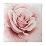 Azulejo Rosa rosa<br><div class="desc">Rosa rosa I de Grace Popp. Cuenta con un rosa de primer nivel en una bonita paleta muda.</div>