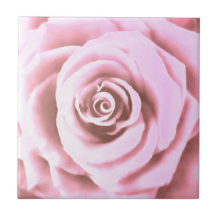 Azulejo Rosa rosa rosa grande pálido artístico