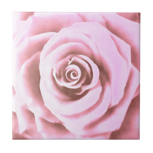 Azulejo Rosa rosa rosa grande pálido artístico (Frente)