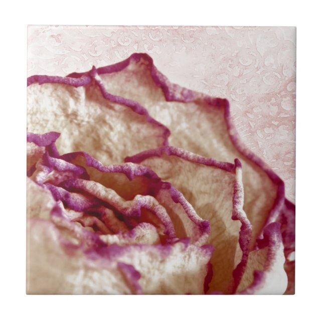 Azulejo Rosa rosa seco (Frente)