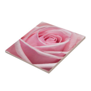 Azulejo Rosa rosa suave