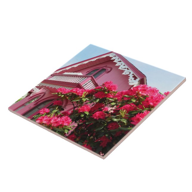 Azulejo Rosa sobre Rosa - Martha's Vineyard (Lado)
