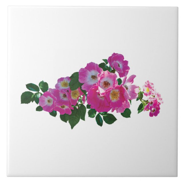 Azulejo Rosa trepadora rosa (Frente)