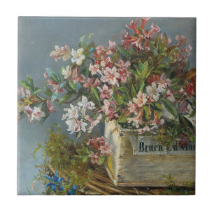 Azulejo Rosas Alpinas en una Caja de Ventana – Andreas Lac