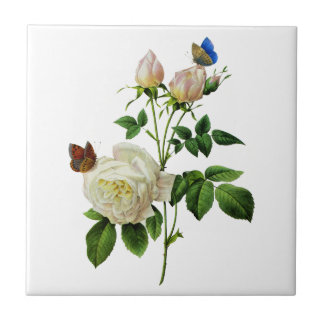 Azulejo Rosas blancas y mariposas por redoblado