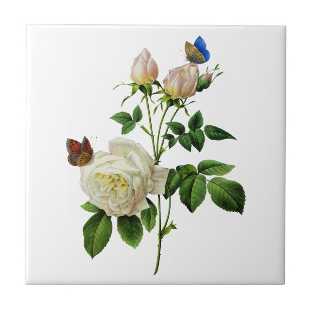 Azulejo Rosas blancas y mariposas por redoblado (Frente)