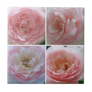 Azulejo Rosas bonitos