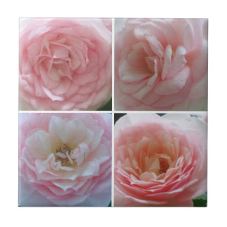 Azulejo Rosas bonitos