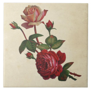 Azulejo Rosas botánicos del vintage