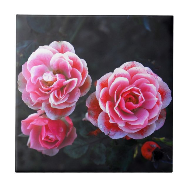 Azulejo Rosas de enero (Frente)