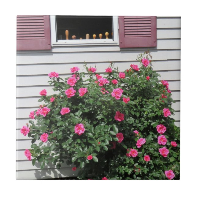 Azulejo Rosas de Flamingo con Scredrivers de Woodwork (Frente)