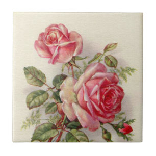 Azulejo rosas elegantes de color rosa con motivos florales