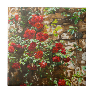 Azulejo Rosas Rojas Contra un Muro de Piedra