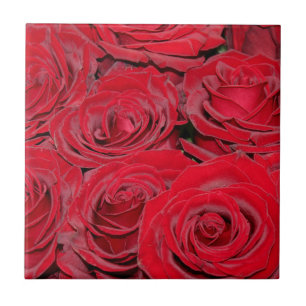 Azulejo Rosas Rojas Vibrantes