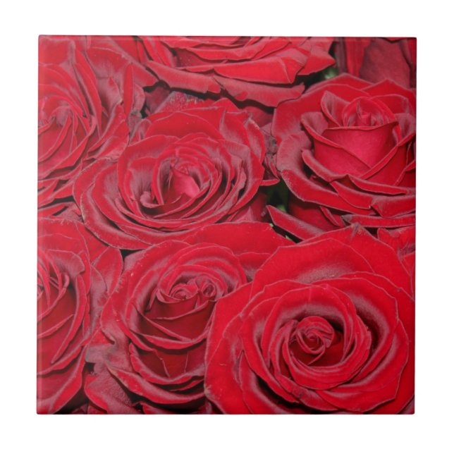 Azulejo Rosas Rojas Vibrantes (Frente)