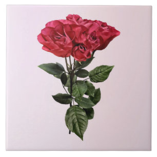 Azulejo Rosas Rojas y Hojas