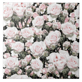 Azulejo Rosas rosa blandas