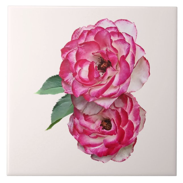 Azulejo Rosas rosadas y blancas (Frente)