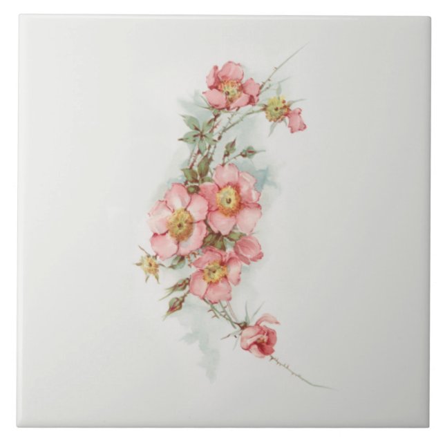 Azulejo Rosas salvajes de estilo pintado a mano (Frente)