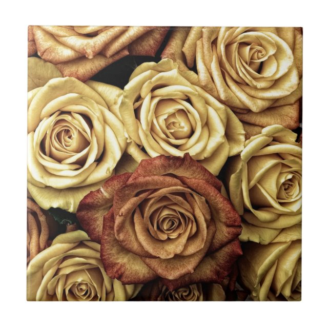 Azulejo Rosas Sepia Descoloridas (Frente)