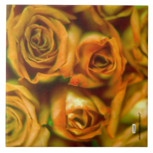 Azulejo Rosas Tile cerámico