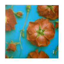 Rosas Tile cerámico