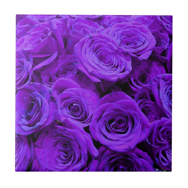Azulejo rosas violeta romántico violeta, ramo de rosa boni (Frente)