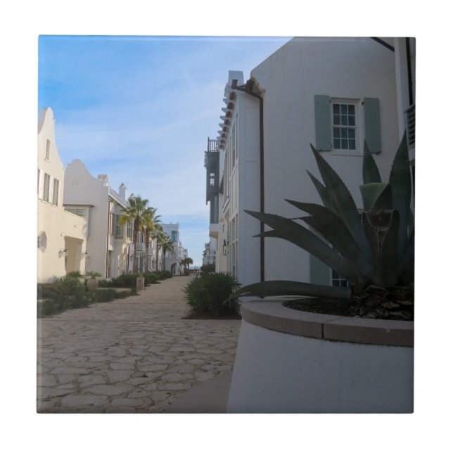 Azulejo Rosemary beach (Frente)