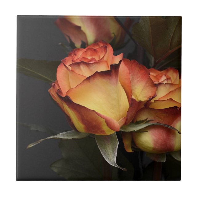 Azulejo Roses naranja, roja y amarilla (Frente)