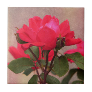 Azulejo Roses rojos