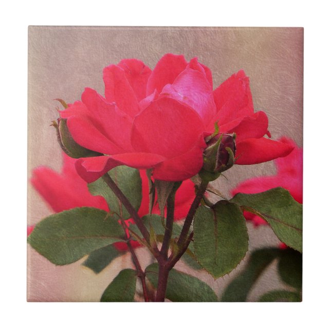 Azulejo Roses rojos (Frente)