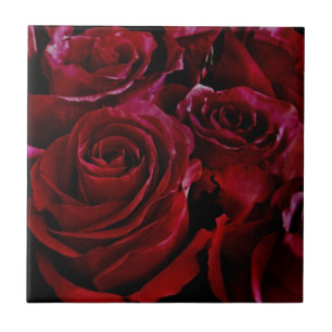 Azulejo Roses rojos por todas partes