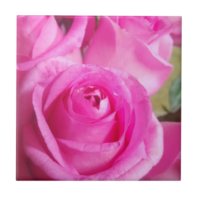 Azulejo Roses rosadas vibrantes (Frente)