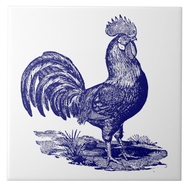 Azulejo Rostro de Lehorn Azul y Blanco (Frente)