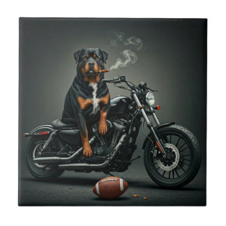 Azulejo Rottie en una bicicleta