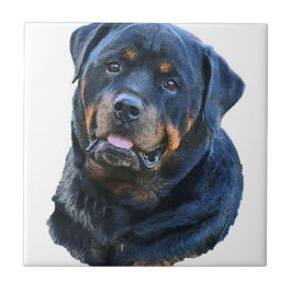 Azulejo Rottweiler