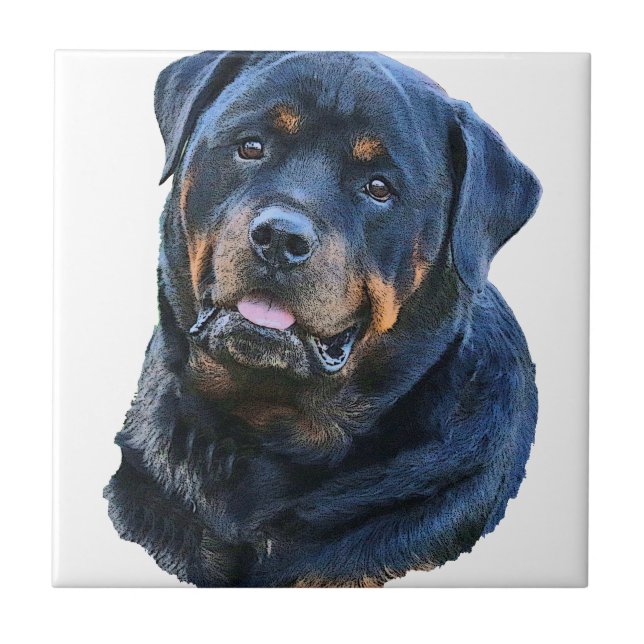 Azulejo Rottweiler (Frente)