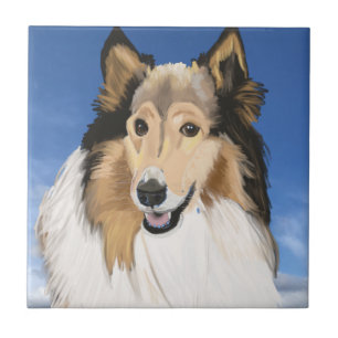 Azulejo Rough Collie Portrait contra el cielo azul