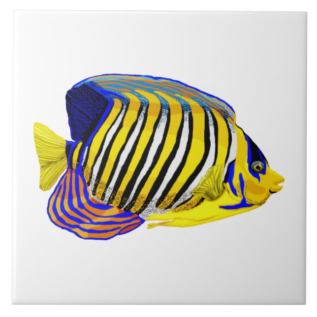 Azulejo Royal Angelfish (Frente)